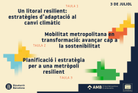 Metròpolis en transformació. Planificar en temps de risc