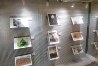 Photo exhibition Prize