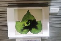 Photo exhibition Prize