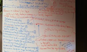 Taller Re-City en acció: Una darrera milla sostenible
